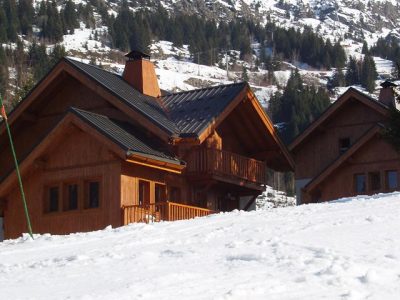 22658627-Original