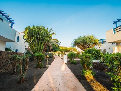 2BB916B5D48607216F1D55ECD910A8C8