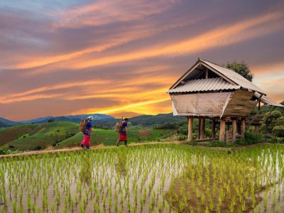 33B0BD32460FDABA5B0D6CFF99B1A41B