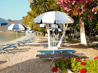 39969398-Original