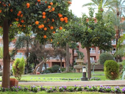 5CEF74A2358FF1BEB5D26F7F42430483