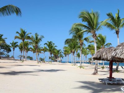 716052C0F8C6105BEC4F45134A3A67BF