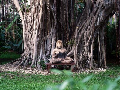 7X9XWHR3X5N3LHPX78BEJ87ZPEF250UXL0V58GQP