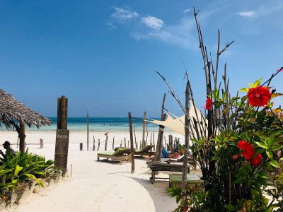 B31Q2H29T3UQAIQXI2C62VBU5DIYCDHTECWENQ1S