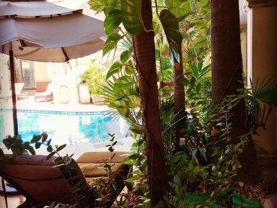 CLSOS6AGWKU984VG3YRKBJHDHF6WWNECX6TI4ELP