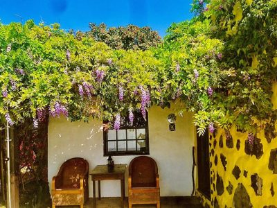 D4C37DCC90F1F245AE1CF0F5D0A194A8