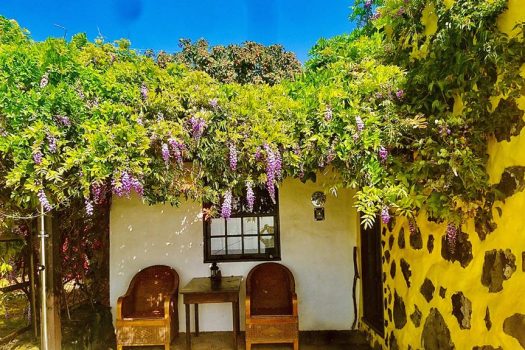 D4C37DCC90F1F245AE1CF0F5D0A194A8