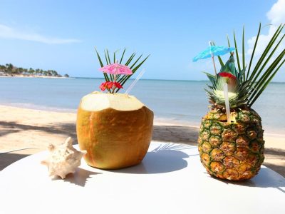 E97BC2E600C3CD31A3DA84194E39A7C2