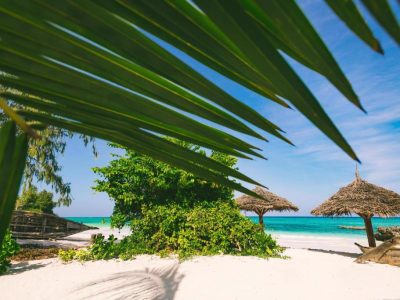 QZW496DA4U4AGU42YFMH8O1KTQ3DZY4WMAZI9HA7